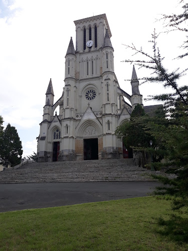 photo Willy Morin Longué-jumelles