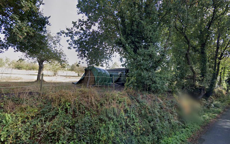 photo Hamon Ludovic Mauves-sur-loire