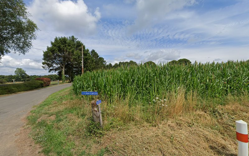 photo Sarl Renault Fougerolles-du-plessis