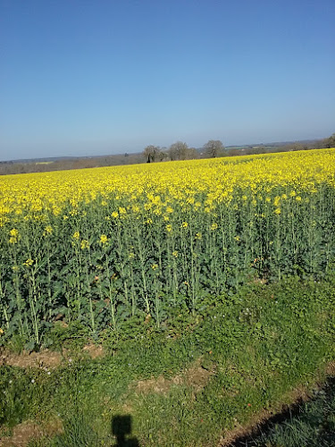 photo Francois Bonnin Mers-sur-indre