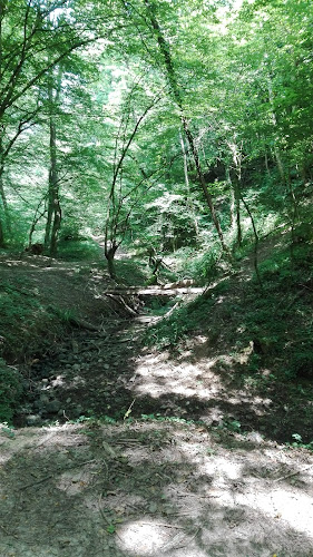 photo Claude Hamelin Saint-cyr-sur-le-rhône