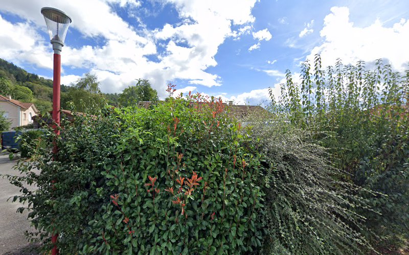 photo Denis Grosdemange Saint-Étienne-lès-remiremont