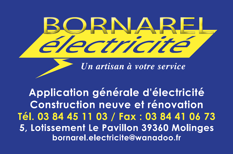 photo Bornarel Electricite Chassal-molinges