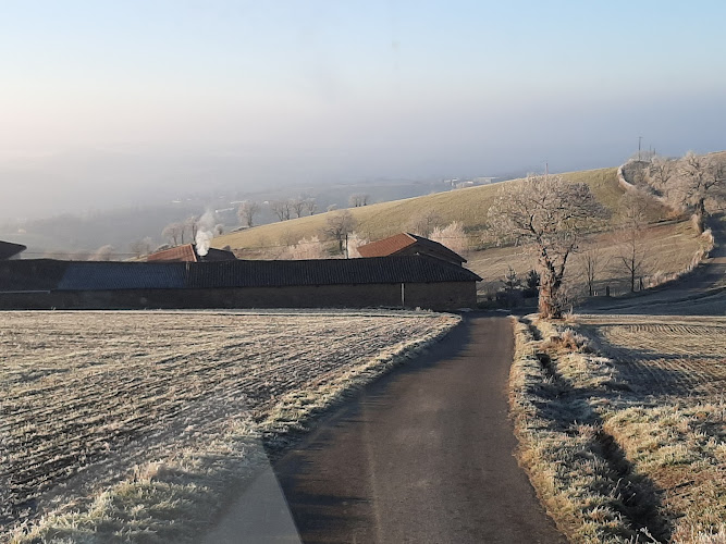 photo Laurent Charrondiere Saint-just-la-pendue