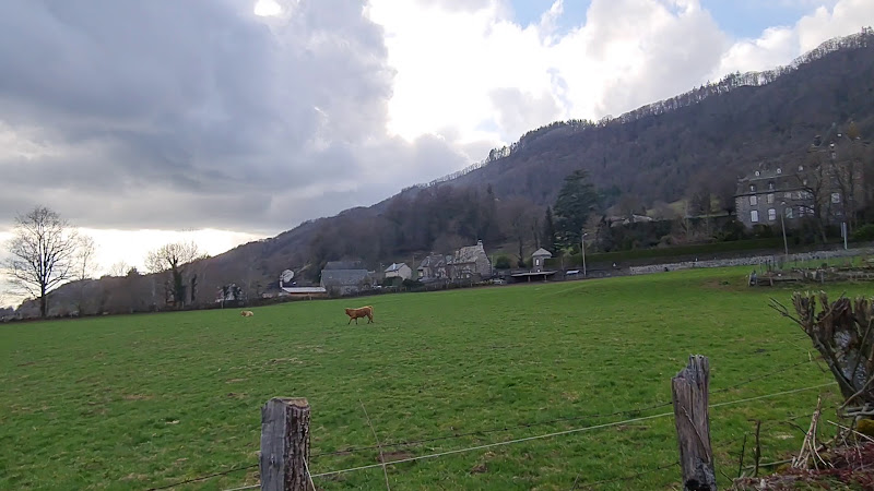 photo Laurent Puech Vic-sur-cère