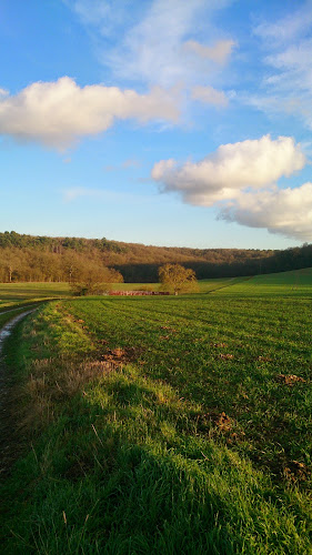 photo Atannelec Arnières-sur-iton