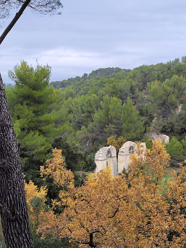 photo Alban Sokolowski Meyrargues