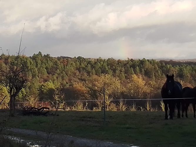 photo Cyrille Gombert Saint-martin-des-combes