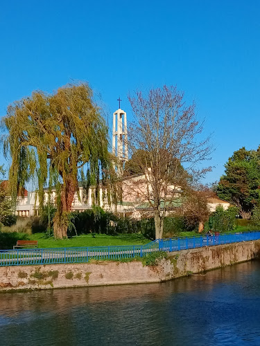 photo Michel Carpentier Lambres-lez-douai