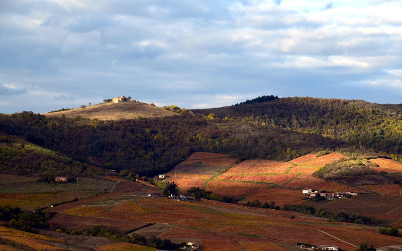 photo Aime Desseigne Saint-Étienne-la-varenne