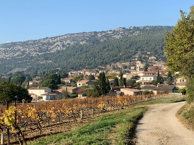 photo Cecchini Yann Beaumes-de-venise