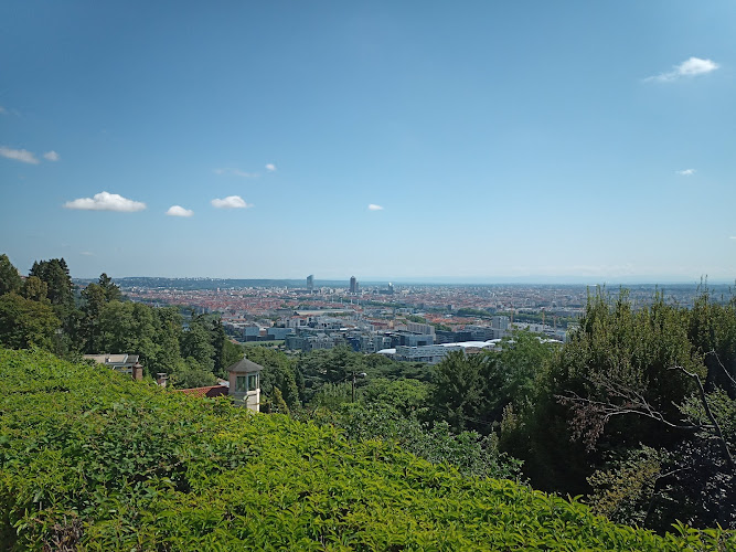 photo Yaakoub Chaibainou Sainte-foy-lès-lyon