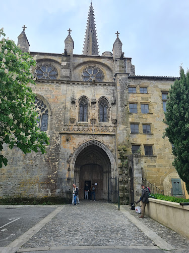 photo David Soubies Mirepoix