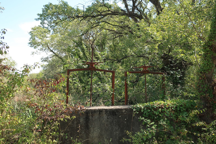 photo Mohamed Lahouel Saint-estève-janson