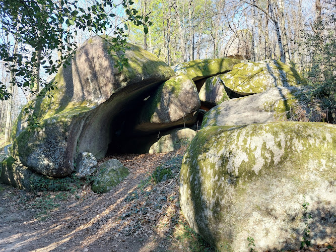 photo Ltelec Saint-salvy-de-la-balme