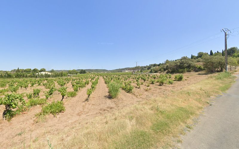 photo Faustino Montbrun-des-corbières