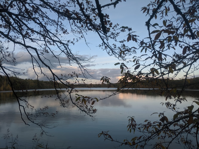 photo Domo Clic La Marolle-en-sologne