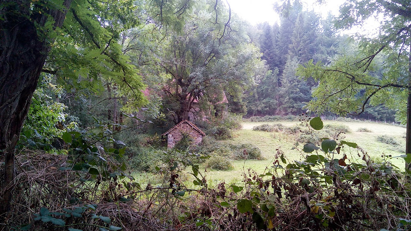 photo Dominique Charrondiere Saligny-sur-roudon