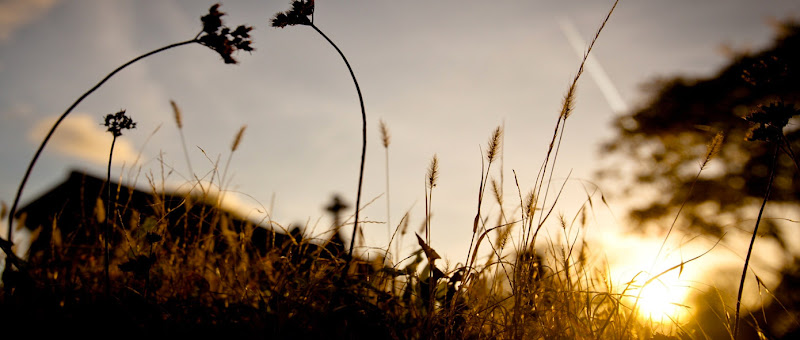 photo Christophe Viboud Catus