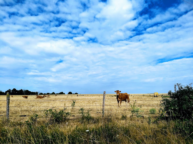 photo Joel Durin Charenton-du-cher